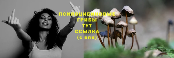 гидра Абдулино